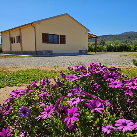 Agriturismo Fusini 马利亚诺因托斯卡纳 外观 照片