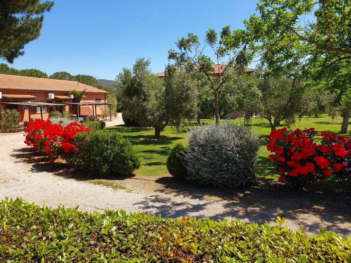 Agriturismo Fusini 马利亚诺因托斯卡纳 外观 照片