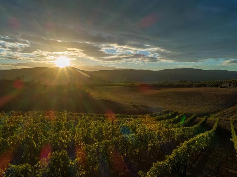 Agriturismo Fusini 马利亚诺因托斯卡纳 外观 照片