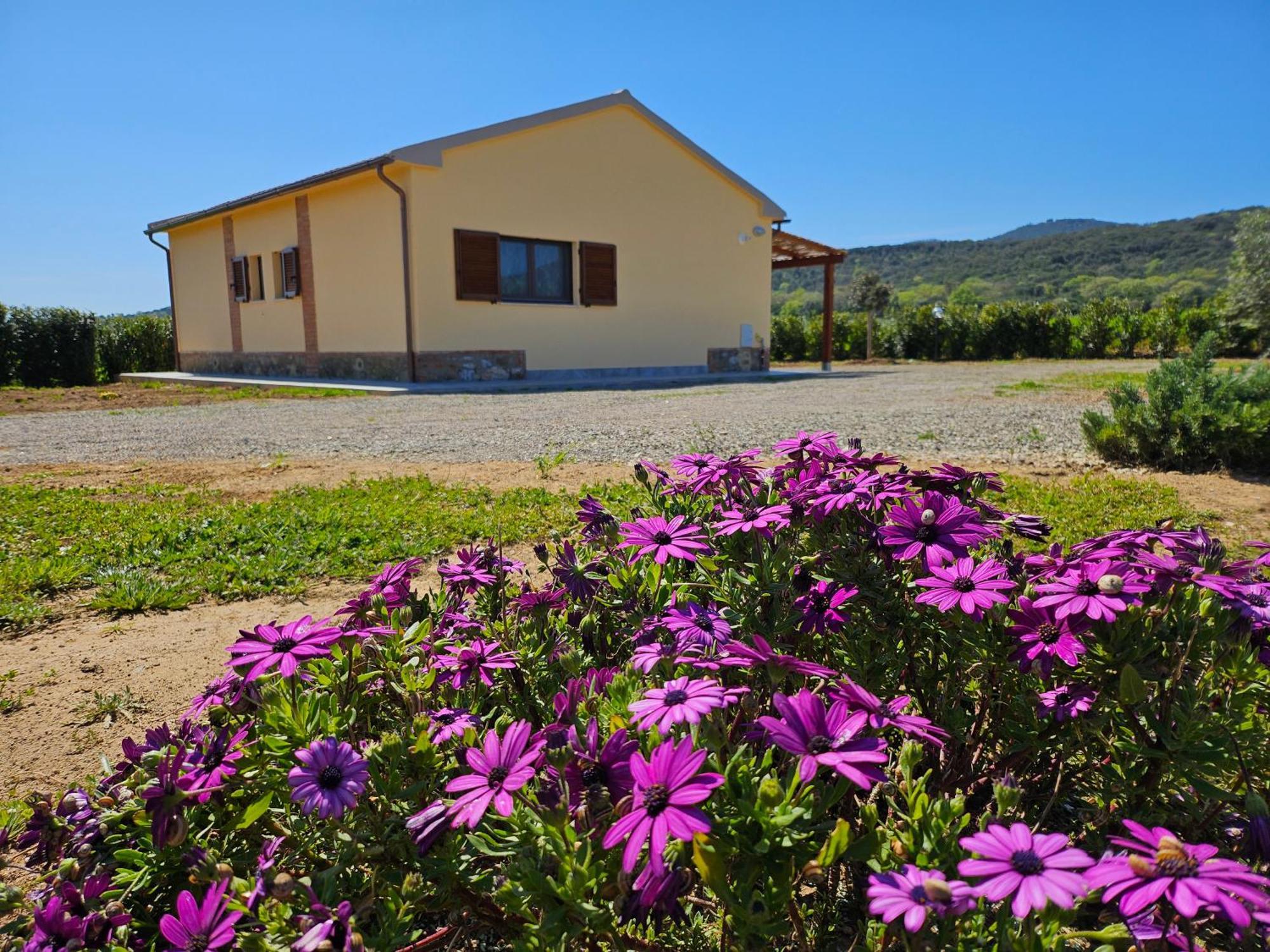 Agriturismo Fusini 马利亚诺因托斯卡纳 外观 照片