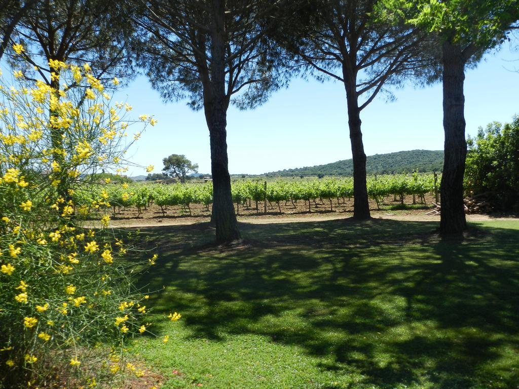 Agriturismo Fusini 马利亚诺因托斯卡纳 外观 照片