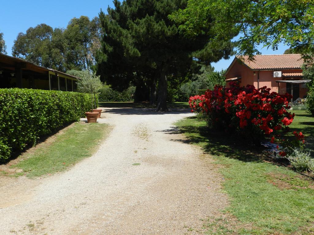 Agriturismo Fusini 马利亚诺因托斯卡纳 外观 照片
