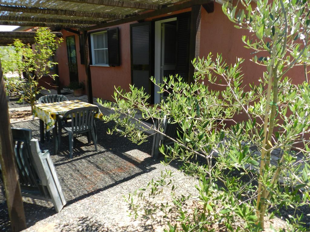 Agriturismo Fusini 马利亚诺因托斯卡纳 外观 照片