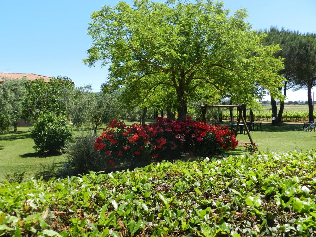 Agriturismo Fusini 马利亚诺因托斯卡纳 外观 照片
