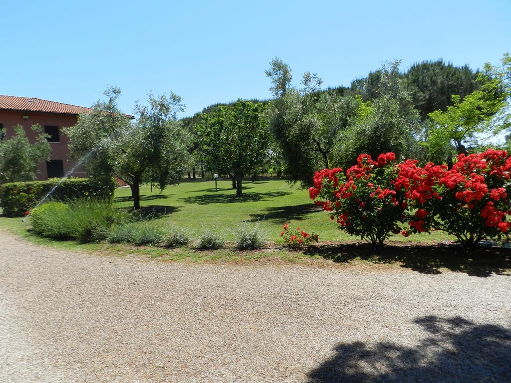 Agriturismo Fusini 马利亚诺因托斯卡纳 外观 照片