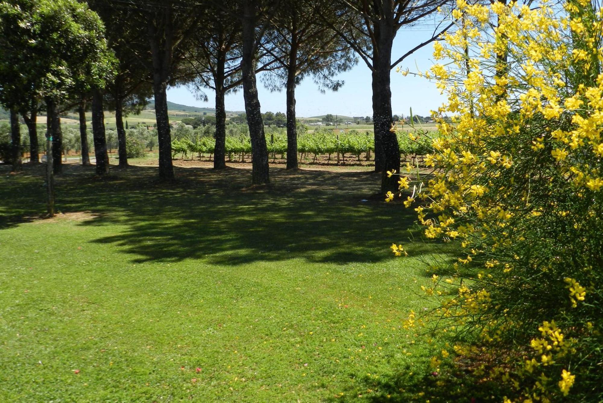 Agriturismo Fusini 马利亚诺因托斯卡纳 外观 照片