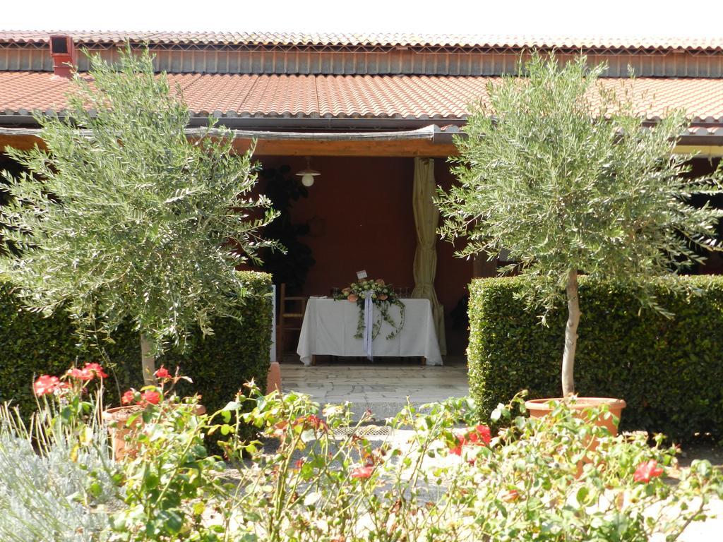 Agriturismo Fusini 马利亚诺因托斯卡纳 外观 照片