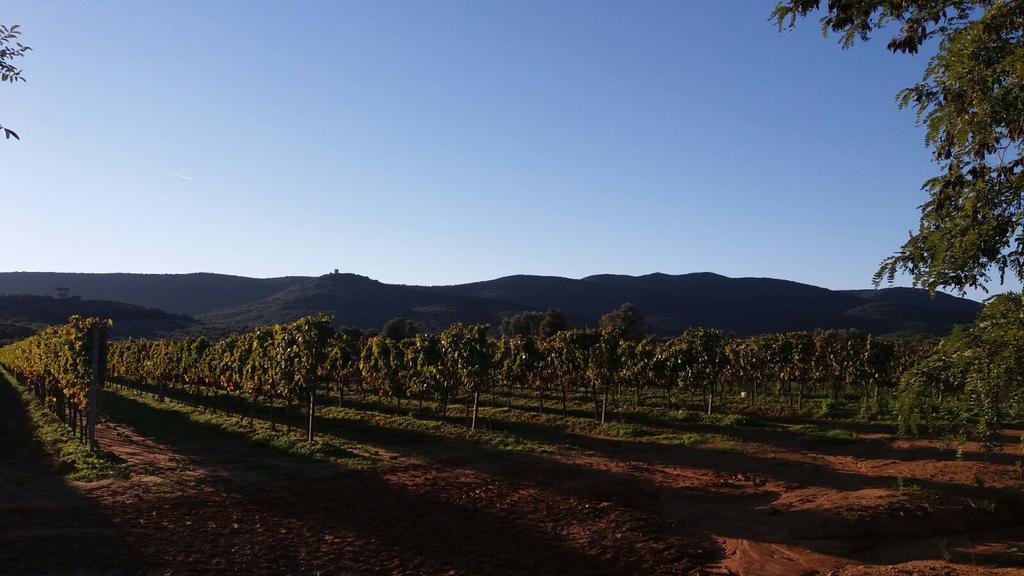 Agriturismo Fusini 马利亚诺因托斯卡纳 外观 照片