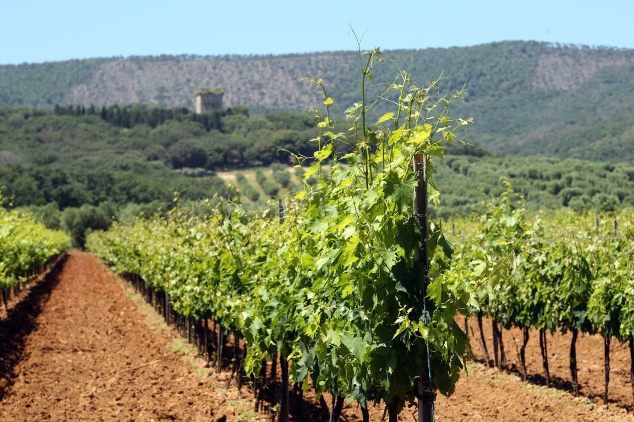 Agriturismo Fusini 马利亚诺因托斯卡纳 外观 照片