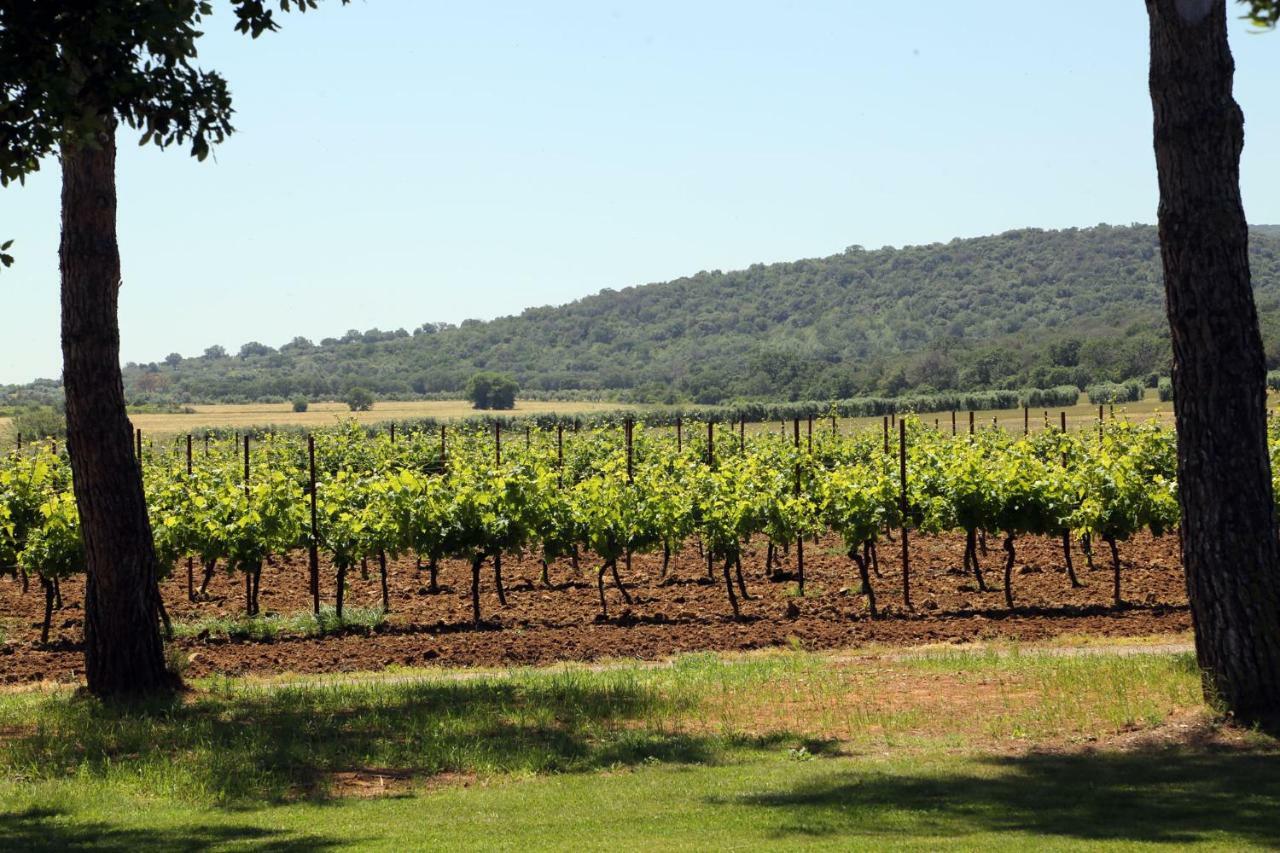 Agriturismo Fusini 马利亚诺因托斯卡纳 外观 照片