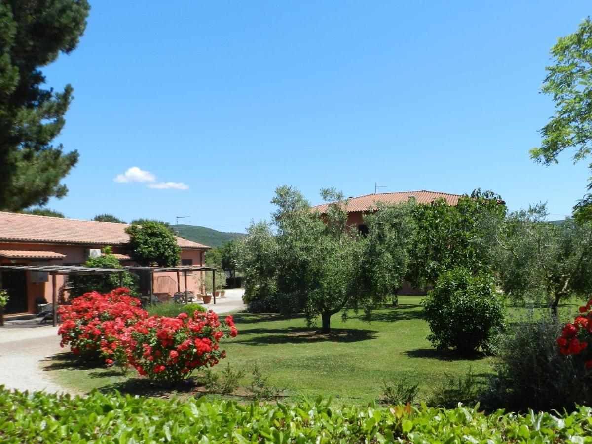 Agriturismo Fusini 马利亚诺因托斯卡纳 外观 照片