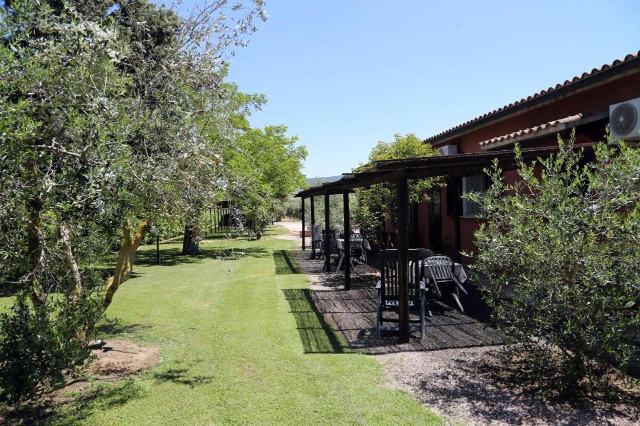 Agriturismo Fusini 马利亚诺因托斯卡纳 外观 照片
